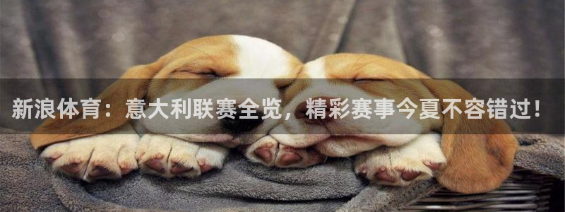 柠檬体育免费高清直播：新浪体育：意大利联赛全览，精彩赛事今夏不容错过！