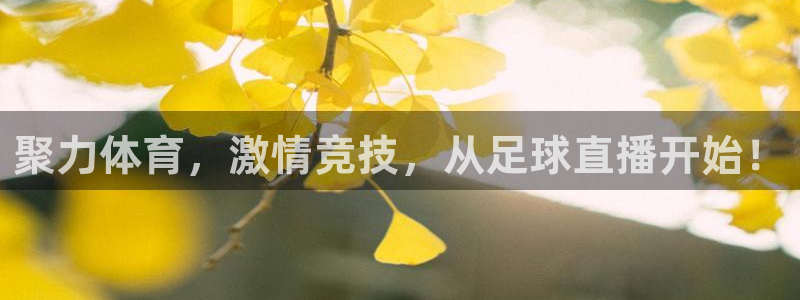 柠檬体育直播官网：聚力体育，激情竞技，从足球直播开始！