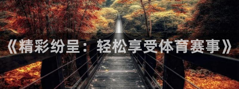 柠檬直播足球直播：《精彩纷呈：轻松享受体育赛事》