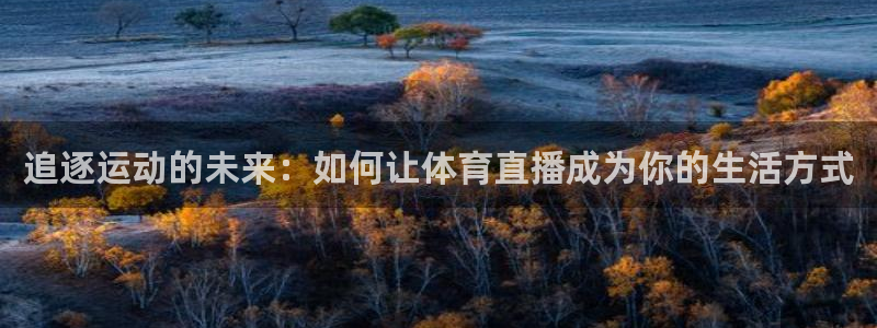 柠檬直播足球免费观看：追逐运动的未来：如何让体育直播成为你的生活方式