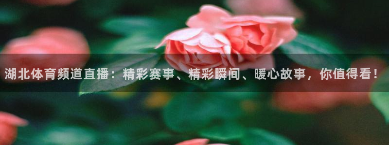 柠檬足球直播直播：湖北体育频道直播：精彩赛事、精彩瞬间、暖心故事，你值得看！