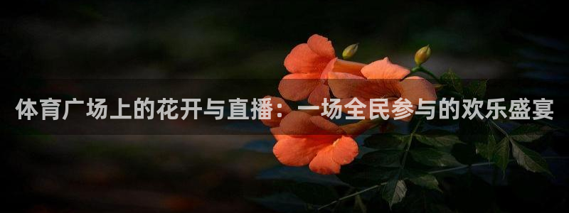 小柠檬直播：体育广场上的花开与直播：一场全民参与的欢乐盛宴