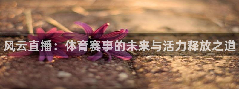 柠檬体育直播足球直播：风云直播：体育赛事的未来与活力释放之道