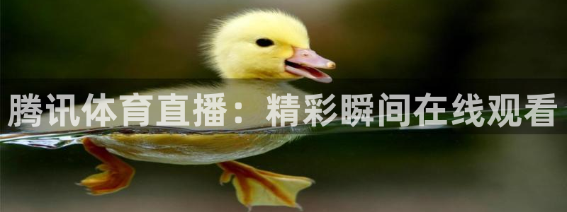 柠檬视频直播：腾讯体育直播：精彩瞬间在线观看
