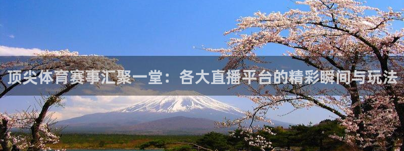 柠檬体育直播网是哪个：顶尖体育赛事汇聚一堂：各大直播平台的精彩瞬间与玩法