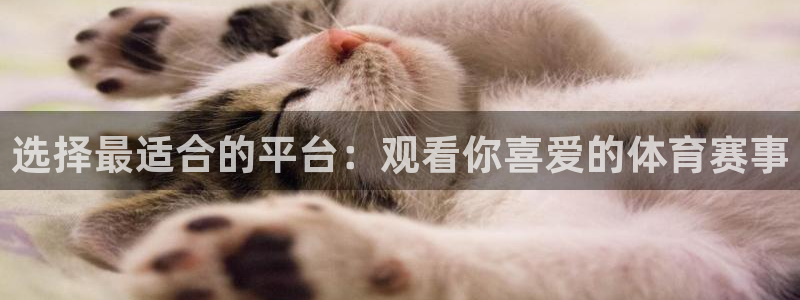 柠檬直播：选择最适合的平台：观看你喜爱的体育赛事