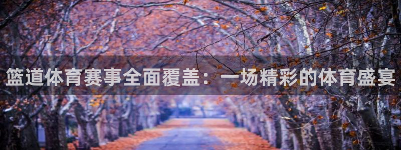 柠檬体育在线直播nba：篮道体育赛事全面覆盖：一场精彩的体育盛宴